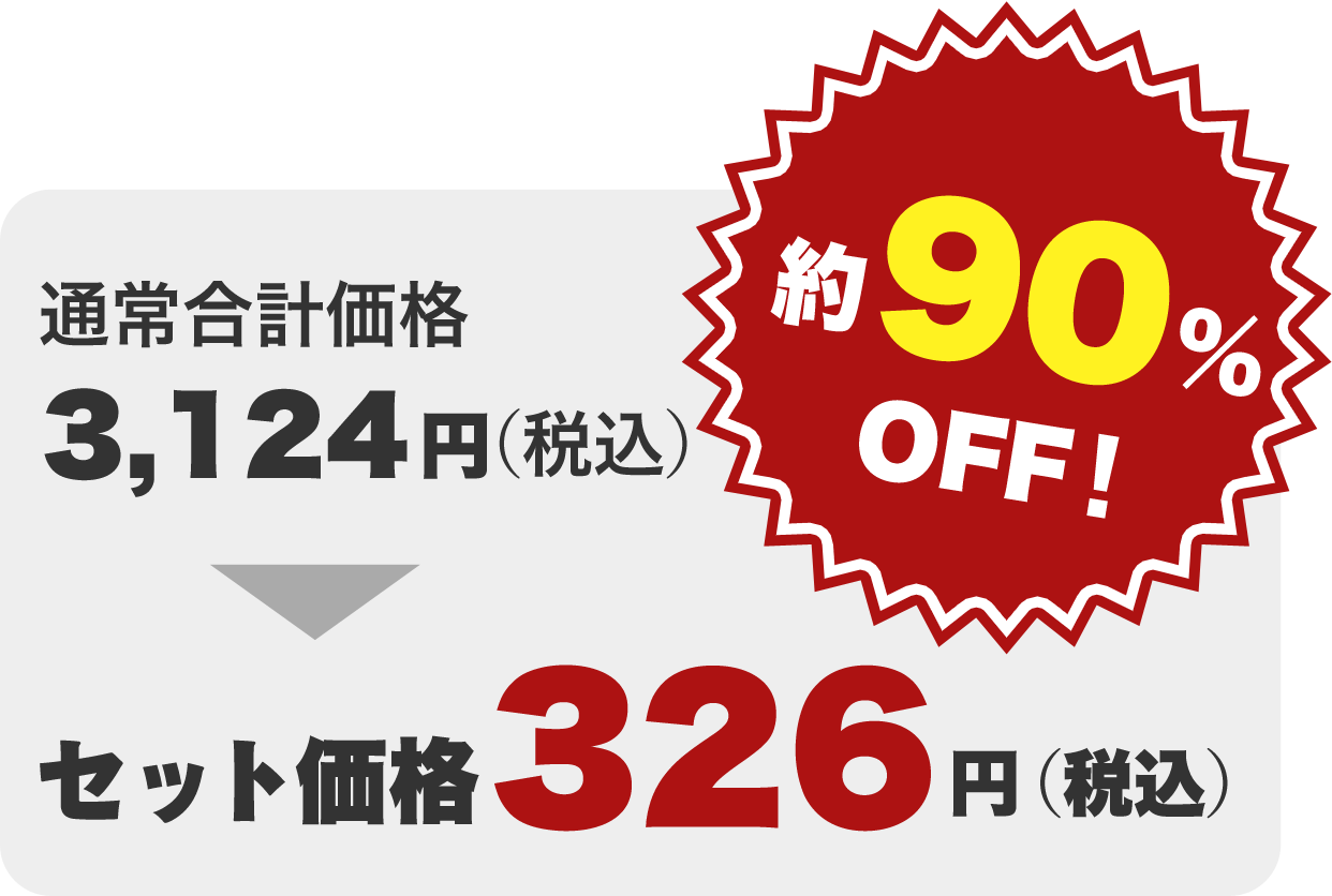 通常合計価格 3,124円（税込）約90％OFF！セット価格326円（税込）